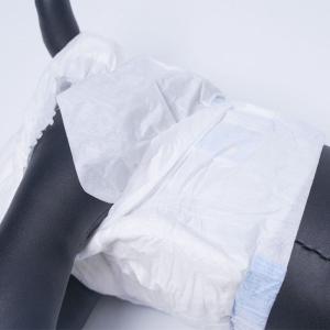 China Pet Cat Puppy Training Pants Super Absorbent Disposable Female Dog Diapers factory