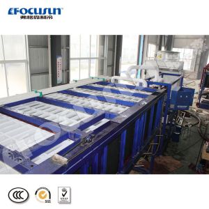 Bitzer Compressor 15ton Ice Making Machine with Ice Moving Device and Water