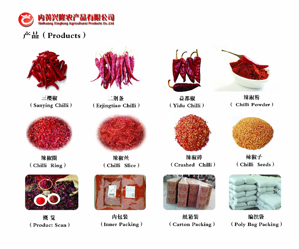 Jinta Sweet Pepper Paprika Dried Chile Guajillo Spicy 15% Moisture