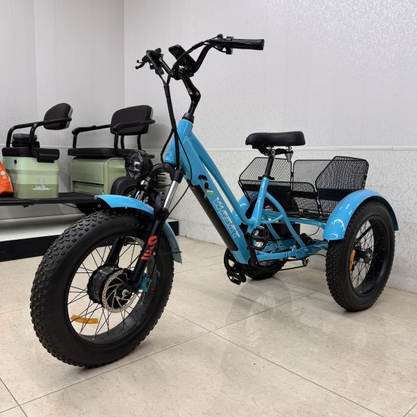 China 6061 Rim Blue Lightweight Electric Tricycle Dual Motor + Smart Dashboard factory