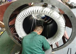 China Pole Coil For Hydro Generator factory