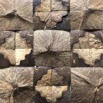 23x23x8mm Coconut shell 3 Feet Natural Fibre Wallpaper