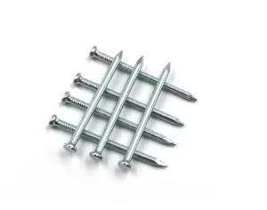 China Concrete 1 Inch - 6 Inch Steel Nails Galvanized Surface Customized factory