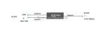 4g Network Supply CWDM SC APC ABS box 1310 1490 1550nm fiber optic 3-port FWDM