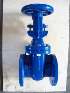 China (bs) Cast Iron Metal Gate Valve O&amp;Y flanged ends factory