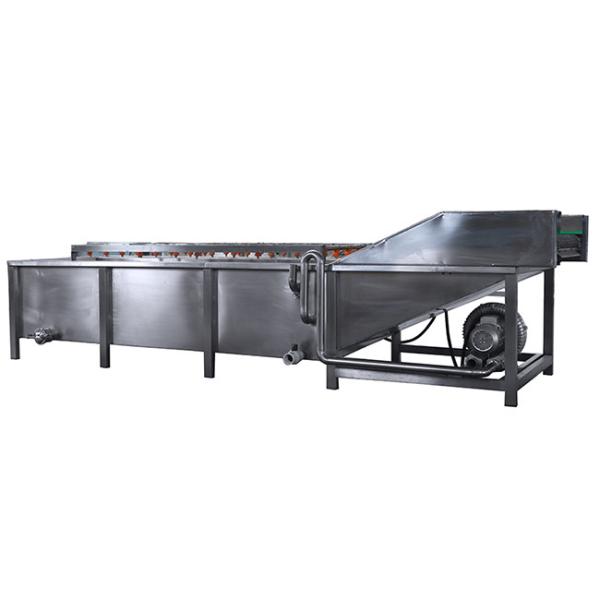 China 500kg/h industrial fruit washing machine factory
