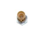 1807369C2 Diesel Fuel Pressure Sensor For NAVISTAR DT466E / I530E / HT530