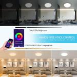 36W RGB Smart Music Led Ceiling Light 2700K Bluetooth Music Led Ceiling Lamp