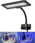 Saltwater 10 Gallon Fish Tank RGB Aquarium Light