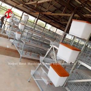 China Galvanized Layers Chicken Cages Capacity 96/120/128/160/200 Equipment Doris factory
