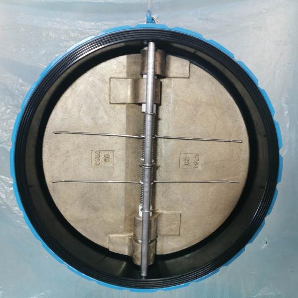 DN80 DI Stainless Steel jis 10k pn16 bs din swing Stop Spring Duo Dual check