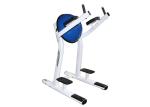 Customizable Commercial Grade Gym Equipment Dip Chin Station Leg Raise Power