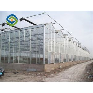 Transparent Hydroponic 0.3KN/M2 Multi Span Greenhouse