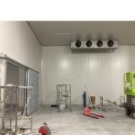 220V/380V/400V/440V Customized 50m*50m Cold Storage with Rack Refrigeration