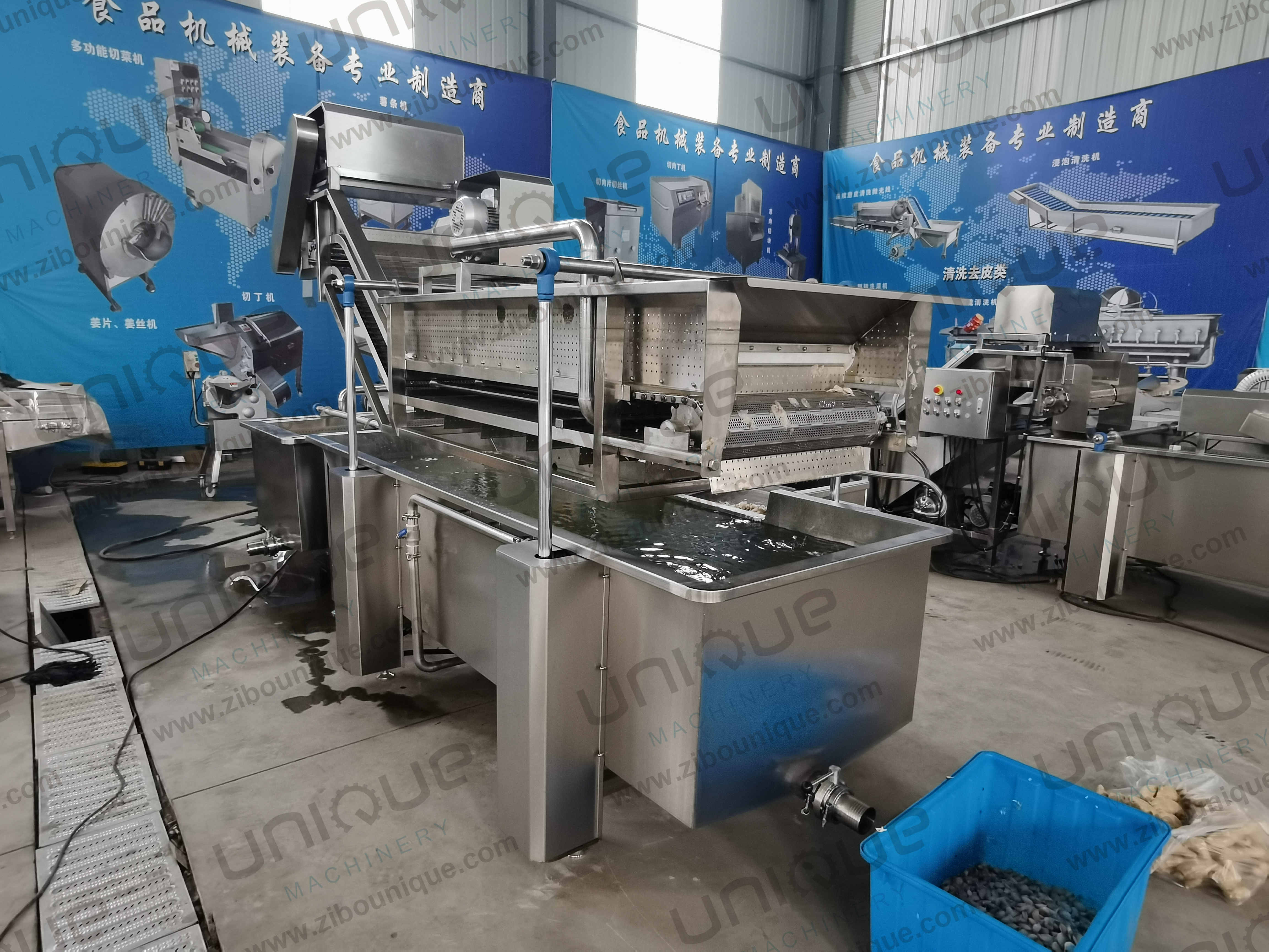 850 KG Capacity Leaf Vegetable Bubble Washing Line for Manufacturing Plant Production