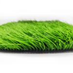 Disease Resistant Indoor Astroturf Football Pitches