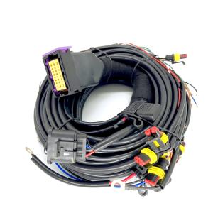China CNG LPG Sequential Injection 24 Pin Car Wiring Harness For 4 Cylinder ECU factory