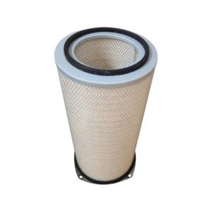 China 0.0061m3 Air Filter Engine Truck Filters OEM 1665563 factory