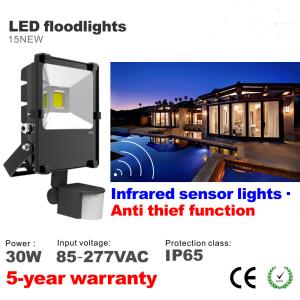 China 30W PIR Infrared induction Motion sensor Outdoor LED Floodlight lighting Flood light factory