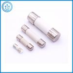 TUV UL PSE Ceramic Tube Miniature Cartridge Fuse 614 30A 250V With Axial Lead