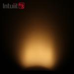 IP65 36W Outdoor LED Landscape Flood Lights Garden Waterproof Crescent Tree Lamp