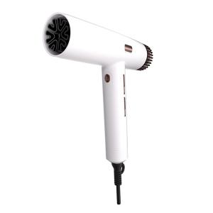 China Fast Drying High Speed Hair Dryer with 1800W Power and 20S Self Cleaning Function factory