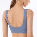 Blue U Shape Neck Sports Bra Women's Stretch Yoga Bra Spandex