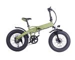 750w 20 Inch Fat Tire Electric Bike