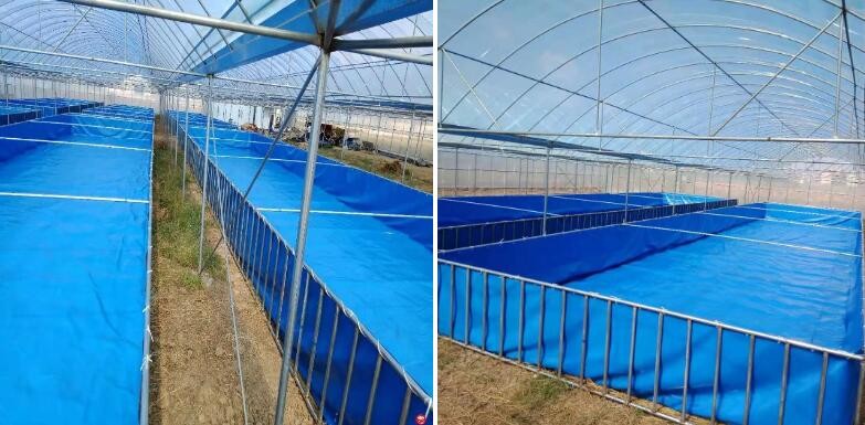 2000L Double Tier Tarpaulin Fish Tank , Safe Water Tarpaulin Fish Pond Collapsible Fish Tank