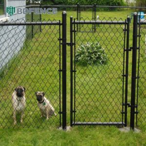 Gated Chain Link Fence Access
