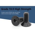 10.9 Grade Black Oxide Hex Socket Flat Bolt for Carbon Steel Metric Bolts 16mm