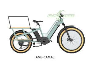 China Green Lithium Battery ebike cargo bike With Shimano 7 Speed Derailleur LED Big Light factory