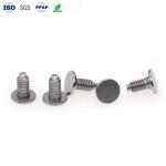 Polished Decorative Screw Heads Grooveless Smooth Mirror Head Screws Customized