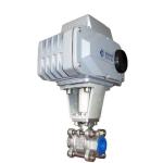 Stainless Steel SS316 BSP Inner Thread DC24V Electrical Control Valve