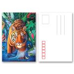 Animal 3d Lenticular Postcards / Custom Lenticular Cards Tear - Proof