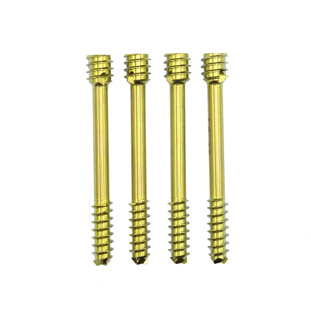 Orthopedic Herbert Bone Cannulated Compression Headless Screw Implant