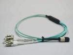24 Fiber Optical MTP MPO Cable Assemblies OM3 10G Aqua 25 Meter Blue