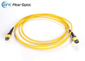 China MTP To MTP Elite Fiber Optic Trunk Cable LSZH SM 24 Fiber 3.0mm Mini Jacket factory