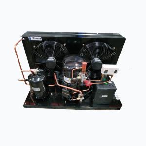 China TAG2516ZBR Tecumseh TAG2516Z freezer 4hp compressor condensing unit for refrigeration system factory