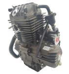 250CC DAYANG Motorcycle Engine Single Cylinder 4 Stroke Wolf water-cooled CDI