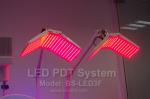 SPA Skin Tightening PDT LED Phototherapy Machine With 4 Color Photon For Face