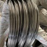ASTM 201 202 Stainless Steel Wire Roll 0.5mm 1mm 1.5mm Annealed SS Rope