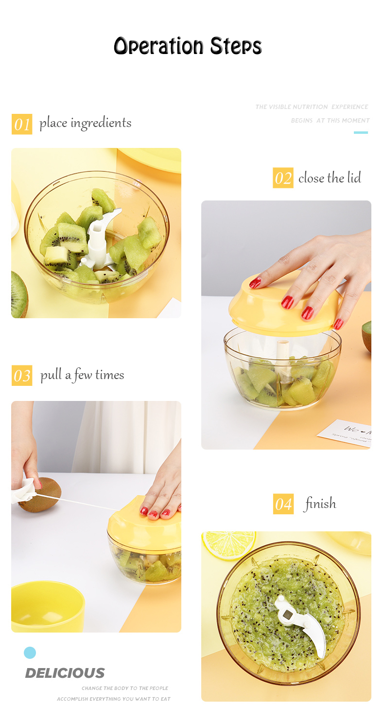 Multifunctional PP Housing Kitchen Vegetable Chopper 250ML SS420 Eco Friendly