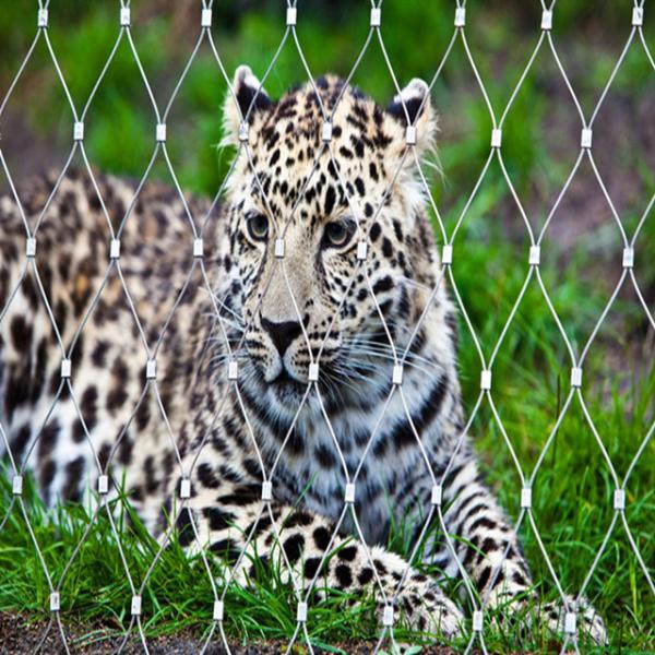 Pongidae Stainless Steel Zoo Mesh