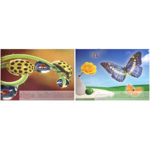 China LC4060/6080/6090 Flat Bed Microcomputer t shirt screen printing machine plane paper，plastic, glass ceramics factory