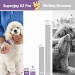 Pet Hair Removal Comb and Vacuum Cleaner The Perfect Combination for Cat