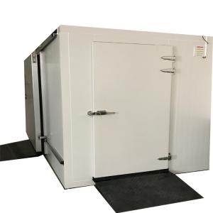 China Walk-in Chiller Cold Room for Supermarket Shop and Restaurant Tailored to Your Needs factory