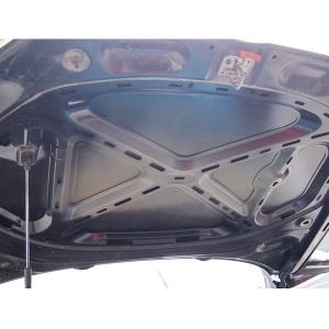 China High Durability Glossy Auto Part Painting Automobile Hood Coating Solution factory