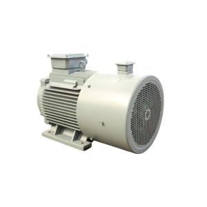 China F Class 50HP Electric High Efficiency Permanent Magnet Motor factory