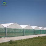 Intelligent Smart Agricultural Gothic Greenhouse Customization Size
